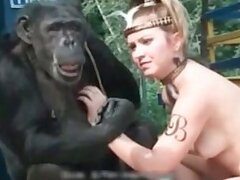 Zoo Animal Sex