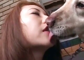 Sex video with animal sex video with animal in Shijianzhuang