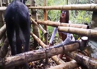 Mare pussy licking experience for twisted gal