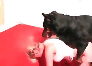 Two dogs enjoying a handsome zoophile - オマンコ アニマルセックス 