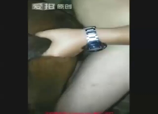 Mare's moist vag gets fucked by a horny dude