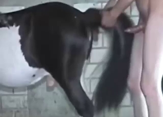 圆屁股男操种马屁股