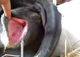 A cute white man is playing with a dog's ass