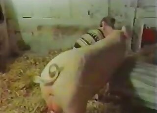 Cute animal and a nice babe fuck in the old barn