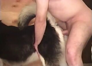 Gorgeous small doggy is getting tons of pleasure