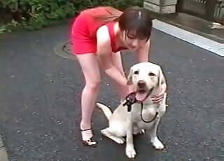 Seks asan dog Fun Dog